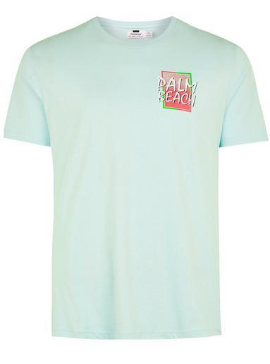 Topman Mens Green Mint Palm Beach T-shirt
