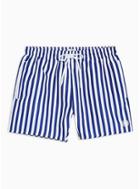 Topman Mens Multi Blue And White Stripe Swim Shorts