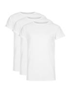 Topman Mens White Muscle Fit Roller T-shirt 3 Pack*