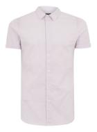 Topman Mens Purple Lilac And White Stripe Muscle Short Sleeve Shirt