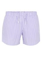 Topman Mens Purple Lilac And White Stripe Swim Shorts