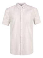 Topman Mens Brown Stone And White Stripe Casual Shirt