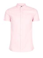 Topman Mens Pink Muscle Oxford Shirt