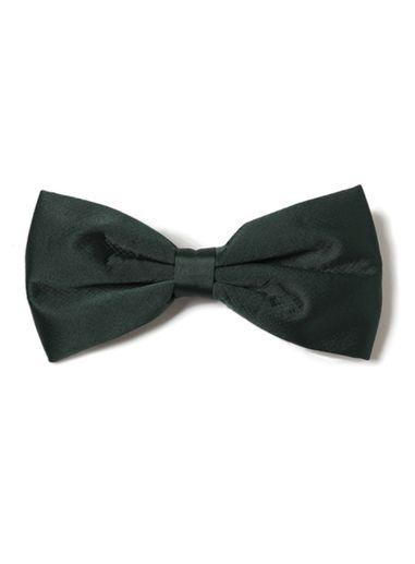 Topman Mens Green Teal Bow Tie*