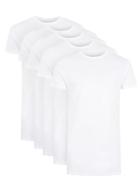 Topman Mens White Longline Muscle Fit T-shirt 5 Pack*