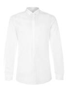 Topman Mens Premium White Pin Collar Dress Shirt