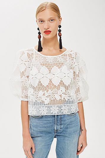 Topshop Organza Lace Blouse