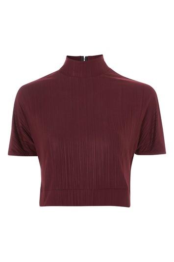 Topshop Plisse Short Sleeve Top By Native Youth