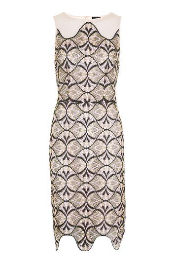 Topshop Tall Mesh Embroidered Mini Dress