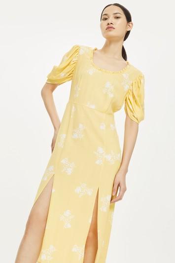 Topshop Effie Tea Dress