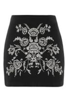 Topshop Petite Embroidered A-line Skirt