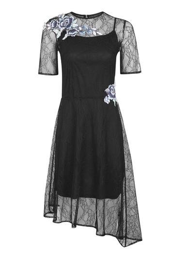 Topshop Flower Embroidered Lace Dress