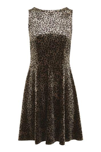 Topshop Leopard Velvet Skater Dress