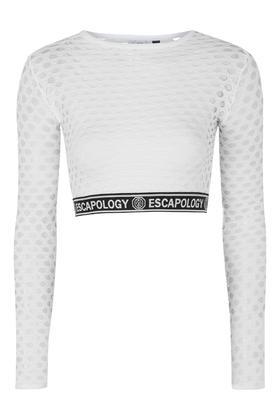Topshop Mesh Long Sleeved Crop Top By Escapology