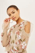Topshop 3d Floral Shift Dress