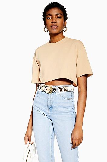 Topshop Stone Washed Cropped T-shirt