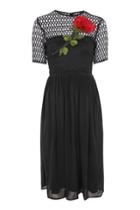 Topshop *seeb Midi Skater Dress By Lace & Beads