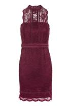Topshop Tall Scallop Mix Lace Bodycon Dress