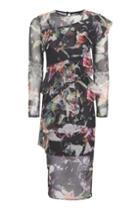 Topshop Floral Print Mesh Ruffle Midi Dress