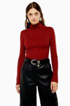 Topshop Knitted Spliced Sleeve Roll Neck Jumper