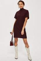 Topshop *plisse Shift Dress By Native Youth