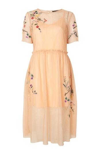 Topshop Embroidered Mesh Midi Dress