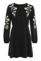 Topshop Embroidered Balloon Sleeve Skater Dress