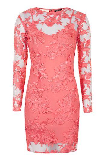 Topshop Long Sleeve Floral Applique Mini Dress