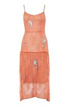 Topshop *lace Embroidery Camisole Dress By Hope & Ivy