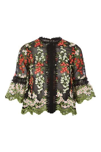Topshop Botanical Lace Mesh Top