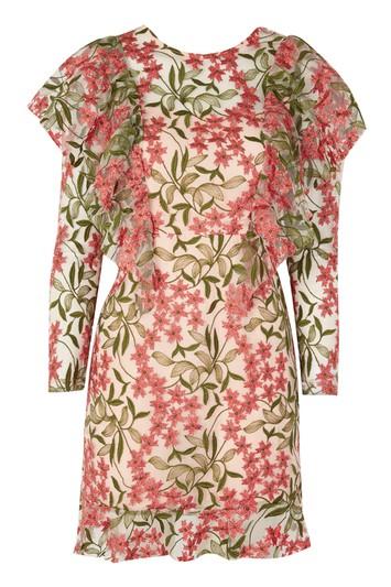 Topshop Embroidered Ruffle Lace Shift Dress