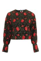 Topshop Rose Embroidered Balloon Sleeve Blouse