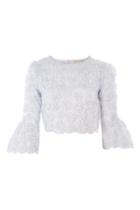 Topshop *goose Embroidered Mesh Crop Top By Lace & Beads