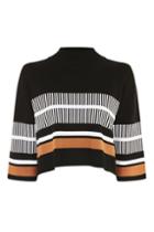 Topshop High Neck Striped Jumper By Native Youth