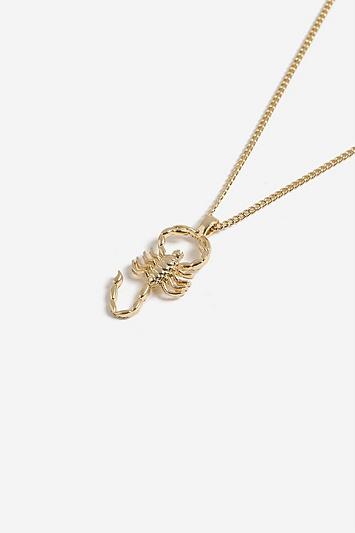 Topshop *scorpion Necklace