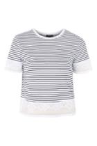 Topshop Petite Stripe Dobby Trim T-shirt