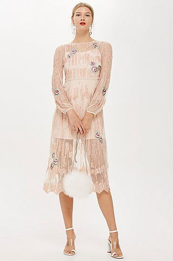 Topshop Peacock Embroidered Dress