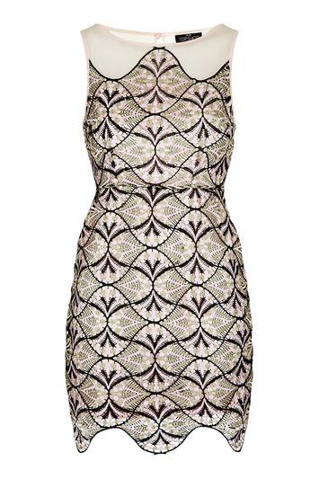 Topshop Petite Mesh Embroidered Mini Dress
