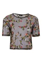 Topshop *embroidered Mesh T-shirt By Nobody's Child