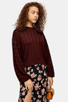 Topshop Burgundy Boxy Wide Ribbed Crew Neck Jumper