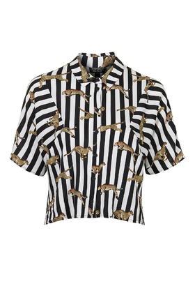 Topshop Leopard Stripe Casual Crop Top