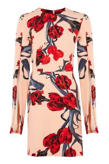 Topshop Tall Floral Split Sleeve A-line Dress