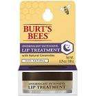 Burt's Bees Overnight Intensive Lip Treatment
