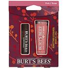 Burt's Bees Tint N' Shine