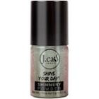 J.cat Beauty Shine Your Day! Shimmery Powder