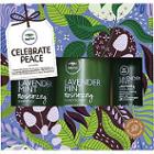 Paul Mitchell Celebrate Peace Lavender Mint Holiday Gift Set