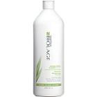 Matrix Biolage Normalizing Cleanreset Shampoo