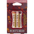 Burt's Bees Kissable Colors Cool Collection