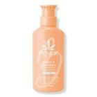 Hempz Apricot & Clementine Herbal Foaming Body Wash