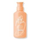 Hempz Apricot & Clementine Herbal Foaming Body Wash